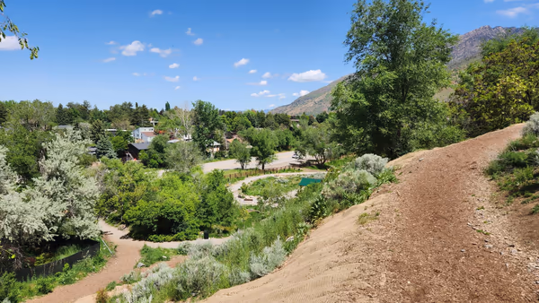 Dog Park at Cottonwood Park